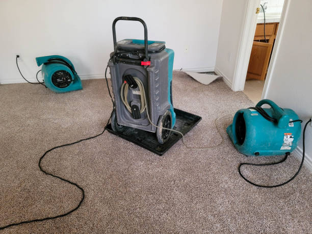 Best Water damage restoration near me  in Lake Mary Jane, FL