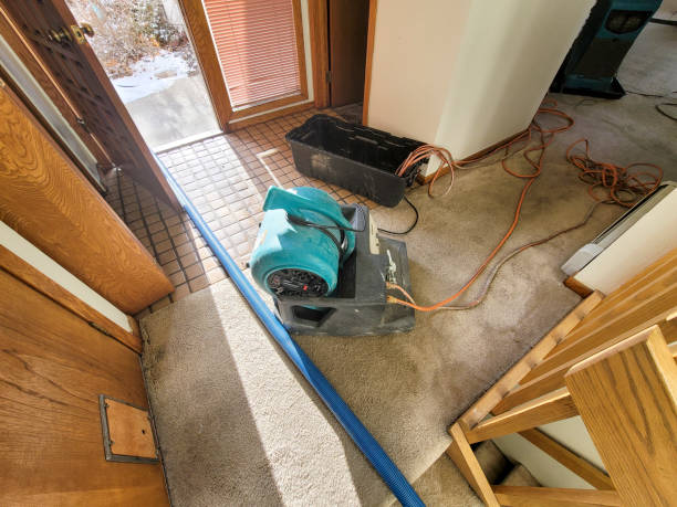 Best Sewage cleanup and water damage restoration  in Lake Mary Jane, FL