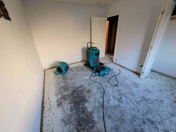Best Water damage restoration near me  in Lake Mary Jane, FL