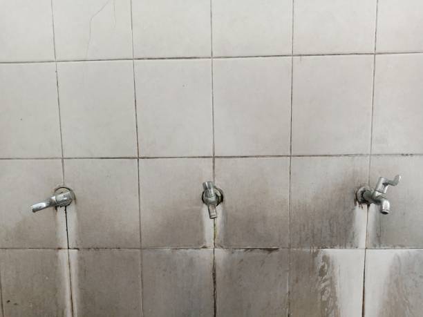 Best Flood damage cleanup  in Lake Mary Jane, FL